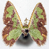  ( - 817444)  @11 [ ] CreativeCommons - Attribution Non-Commercial Share-Alike (2015) David Polluck Smithsonian Institution