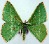  ( - 817479)  @11 [ ] CreativeCommons - Attribution Non-Commercial Share-Alike (2015) David Polluck Smithsonian Institution