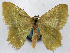  ( - 817735)  @11 [ ] CreativeCommons - Attribution Non-Commercial Share-Alike (2015) David Polluck Smithsonian Institution