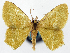  ( - 817736)  @11 [ ] CreativeCommons - Attribution Non-Commercial Share-Alike (2015) David Polluck Smithsonian Institution