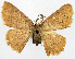  ( - CCDB-16669_F12)  @11 [ ] CreativeCommons - Attribution (2014) David Polluck Centre for Biodiversity Genomics