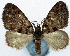  ( - CCDB-11873-G05)  @11 [ ] CreativeCommons - Attribution (2014) David Polluck Centre for Biodiversity Genomics