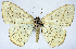  ( - CCDB-11877_A12)  @11 [ ] CreativeCommons - Attribution (2014) David Polluck Centre for Biodiversity Genomics