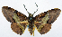  ( - CCDB-11875-B06)  @11 [ ] CreativeCommons - Attribution (2014) David Polluck Centre for Biodiversity Genomics