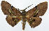  ( - CCDB-11875-B09)  @11 [ ] CreativeCommons - Attribution (2014) David Polluck Centre for Biodiversity Genomics