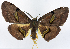  ( - CCDB-11875-B10)  @11 [ ] CreativeCommons - Attribution (2014) David Polluck Centre for Biodiversity Genomics