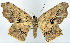  ( - CCDB-16669_D02)  @11 [ ] CreativeCommons - Attribution (2014) David Polluck Centre for Biodiversity Genomics