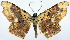  ( - CCDB-16669_D05)  @11 [ ] CreativeCommons - Attribution (2014) David Polluck Centre for Biodiversity Genomics