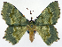  ( - CCDB-11876-E04)  @11 [ ] CreativeCommons - Attribution (2014) David Polluck Centre for Biodiversity Genomics