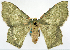  ( - CCDB-11876-E02)  @11 [ ] CreativeCommons - Attribution (2014) David Polluck Centre for Biodiversity Genomics