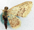  ( - CCDB-16669_H08)  @11 [ ] CreativeCommons - Attribution (2014) David Polluck Centre for Biodiversity Genomics