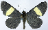  ( - CCDB-16636_A08)  @11 [ ] CreativeCommons - Attribution (2014) David Polluck Centre for Biodiversity Genomics