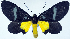  ( - CCDB-11851_E09)  @11 [ ] CreativeCommons - Attribution (2014) David Polluck Centre for Biodiversity Genomics