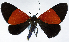  ( - CCDB-16634_C02)  @11 [ ] CreativeCommons - Attribution (2014) David Polluck Centre for Biodiversity Genomics