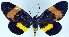  ( - 962432)  @11 [ ] CreativeCommons - Attribution Non-Commercial Share-Alike (2015) David Polluck Smithsonian Institution