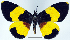  ( - 962456)  @11 [ ] CreativeCommons - Attribution Non-Commercial Share-Alike (2015) David Polluck Smithsonian Institution