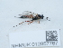  ( - NHMUK012857767)  @11 [ ] Unspecified (default): All Rights Reserved  Unspecified Unspecified