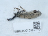  ( - NHMUK012857772)  @11 [ ] Unspecified (default): All Rights Reserved  Unspecified Unspecified