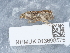  ( - NHMUK013698575)  @11 [ ] Unspecified (default): All Rights Reserved  Unspecified Unspecified
