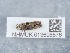  ( - NHMUK013698576)  @11 [ ] Unspecified (default): All Rights Reserved  Unspecified Unspecified