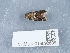  ( - NHMUK013698608)  @11 [ ] Unspecified (default): All Rights Reserved  Unspecified Unspecified