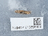  ( - NHMUK013698609)  @11 [ ] Unspecified (default): All Rights Reserved  Unspecified Unspecified