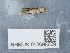  ( - NHMUK013698609)  @11 [ ] Unspecified (default): All Rights Reserved  Unspecified Unspecified