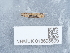  ( - NHMUK013698609)  @11 [ ] Unspecified (default): All Rights Reserved  Unspecified Unspecified