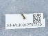  ( - NHMUK013698610)  @11 [ ] Unspecified (default): All Rights Reserved  Unspecified Unspecified
