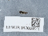  ( - NHMUK013698611)  @11 [ ] Unspecified (default): All Rights Reserved  Unspecified Unspecified