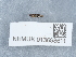  ( - NHMUK013698611)  @11 [ ] Unspecified (default): All Rights Reserved  Unspecified Unspecified