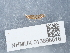  ( - NHMUK013698616)  @11 [ ] Unspecified (default): All Rights Reserved  Unspecified Unspecified