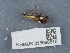  ( - NHMUK013698618)  @11 [ ] Unspecified (default): All Rights Reserved  Unspecified Unspecified