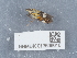  ( - NHMUK013698618)  @11 [ ] Unspecified (default): All Rights Reserved  Unspecified Unspecified