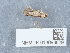  ( - NHMUK013698629)  @11 [ ] Unspecified (default): All Rights Reserved  Unspecified Unspecified