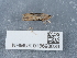  ( - NHMUK013698629)  @11 [ ] Unspecified (default): All Rights Reserved  Unspecified Unspecified