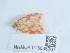  ( - NHMUK013698767)  @11 [ ] Unspecified (default): All Rights Reserved  Unspecified Unspecified
