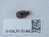  ( - NHMUK014438472)  @11 [ ] Unspecified (default): All Rights Reserved  Unspecified Unspecified