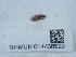  ( - NHMUK014438529)  @11 [ ] Unspecified (default): All Rights Reserved  Unspecified Unspecified