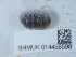  ( - NHMUK014438598)  @11 [ ] Unspecified (default): All Rights Reserved  Unspecified Unspecified
