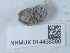  ( - NHMUK014438598)  @11 [ ] Unspecified (default): All Rights Reserved  Unspecified Unspecified