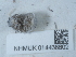  ( - NHMUK014438602)  @11 [ ] Unspecified (default): All Rights Reserved  Unspecified Unspecified
