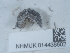  ( - NHMUK014438602)  @11 [ ] Unspecified (default): All Rights Reserved  Unspecified Unspecified