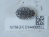  ( - NHMUK014438602)  @11 [ ] Unspecified (default): All Rights Reserved  Unspecified Unspecified