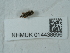  ( - NHMUK014438696)  @11 [ ] Unspecified (default): All Rights Reserved  Unspecified Unspecified