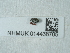  ( - NHMUK014438705)  @11 [ ] Unspecified (default): All Rights Reserved  Unspecified Unspecified