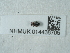  ( - NHMUK014438705)  @11 [ ] Unspecified (default): All Rights Reserved  Unspecified Unspecified
