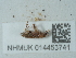  ( - NHMUK014453741)  @11 [ ] Unspecified (default): All Rights Reserved  Unspecified Unspecified
