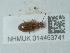  ( - NHMUK014453741)  @11 [ ] Unspecified (default): All Rights Reserved  Unspecified Unspecified