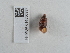  ( - NHMUK014536937)  @11 [ ] Unspecified (default): All Rights Reserved  Unspecified Unspecified